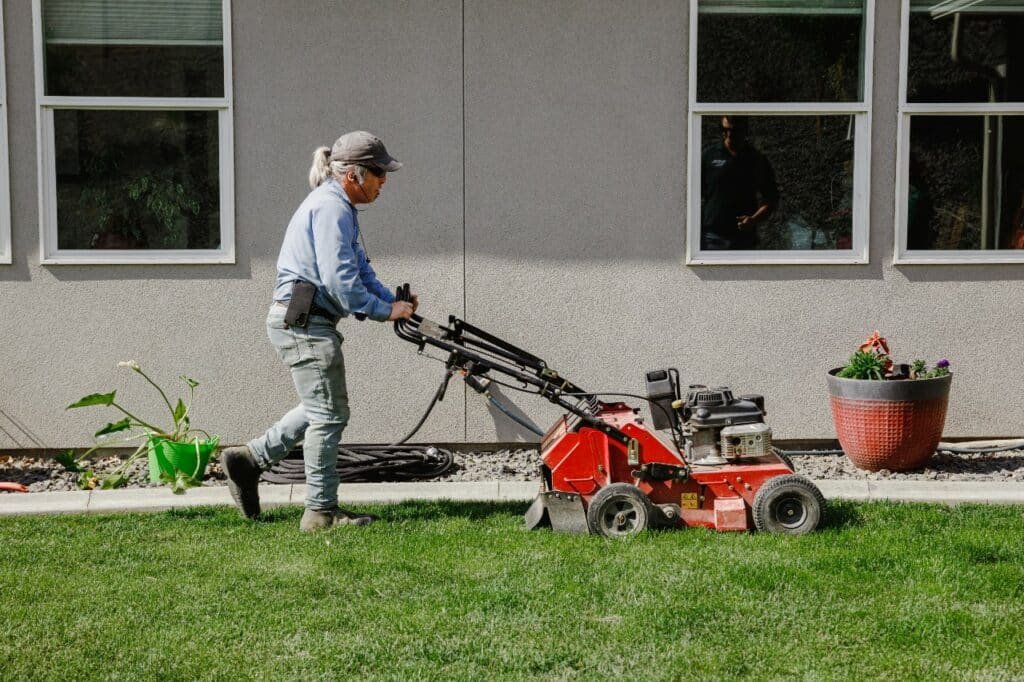 most important lawn care tips