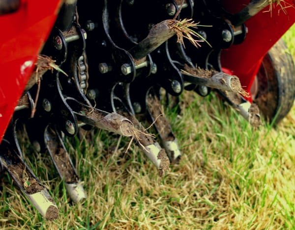 Colonial Lawn Aeration