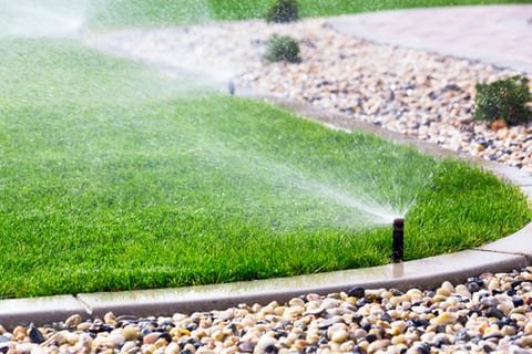 Lawn Sprinkler System