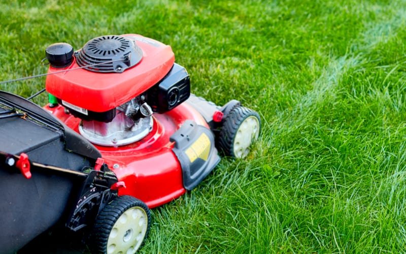colonial grass cutting service