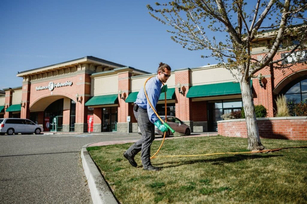 colonial lawn routine lawn care