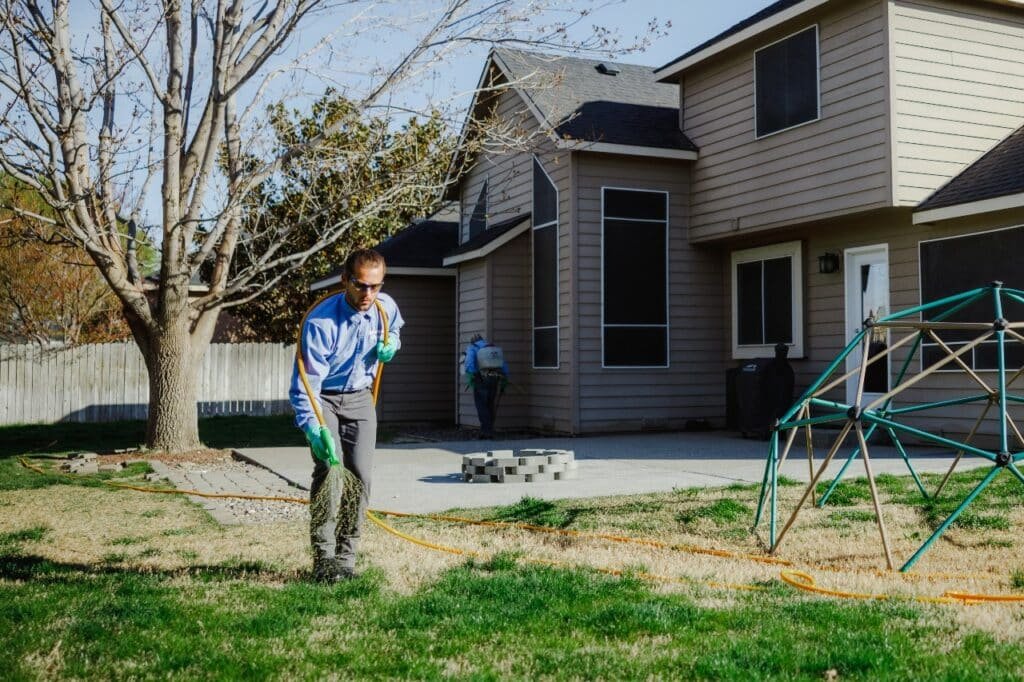 lawn fungi removal colonial lawn