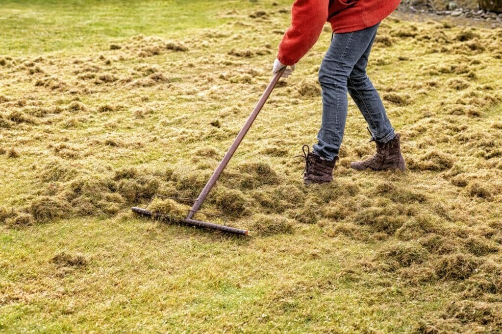 de thatching expert advice