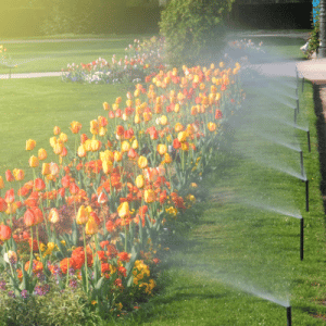 irrigation system benefits colonial lawn and garden
