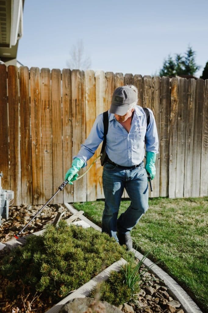 routine pest control for garden