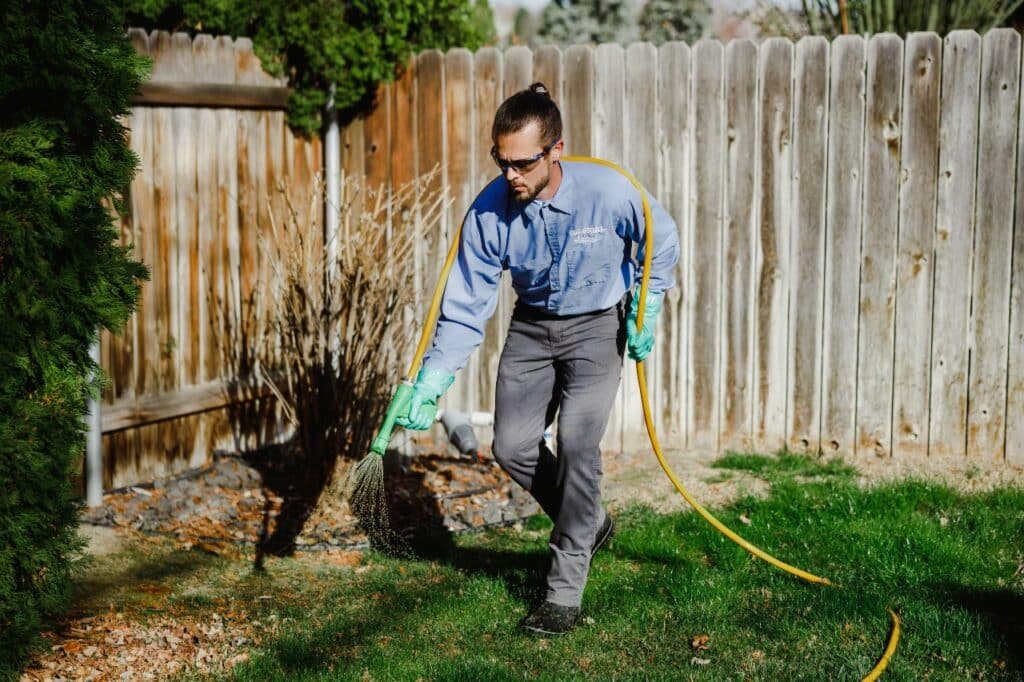 routine lawn treatment from colonial lawn