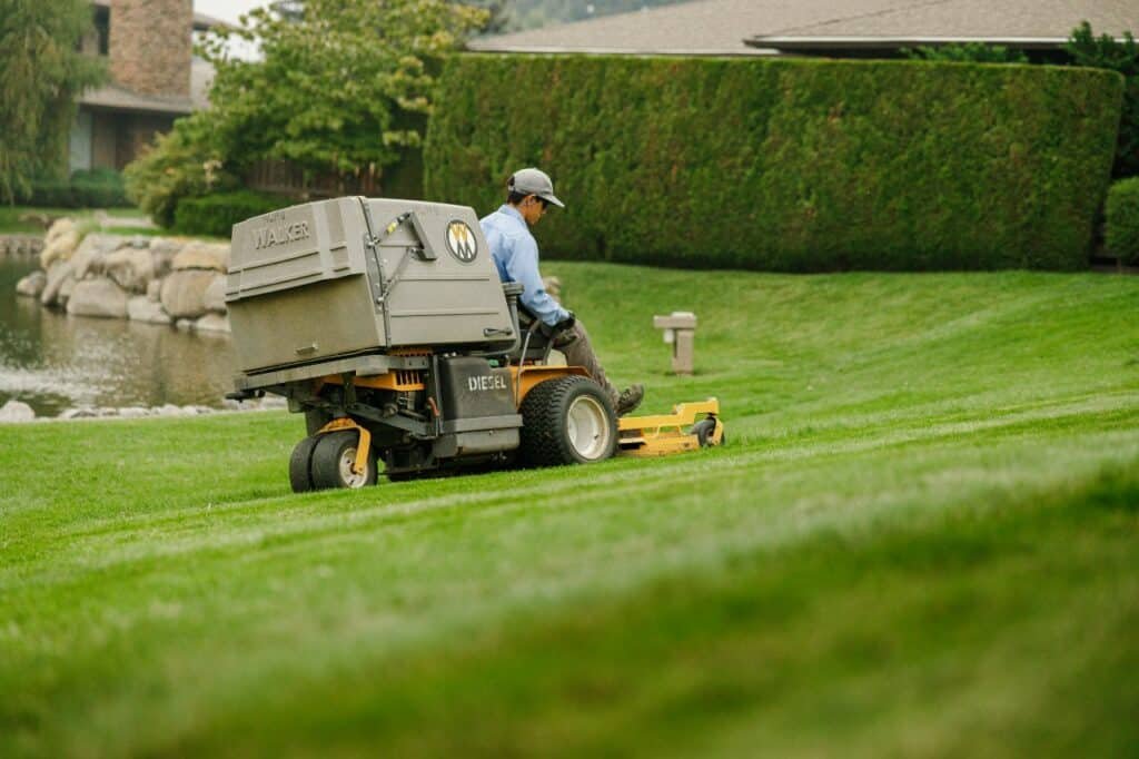winter lawn preparation tips