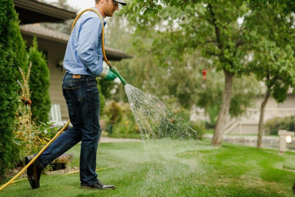 winter lawn preparation