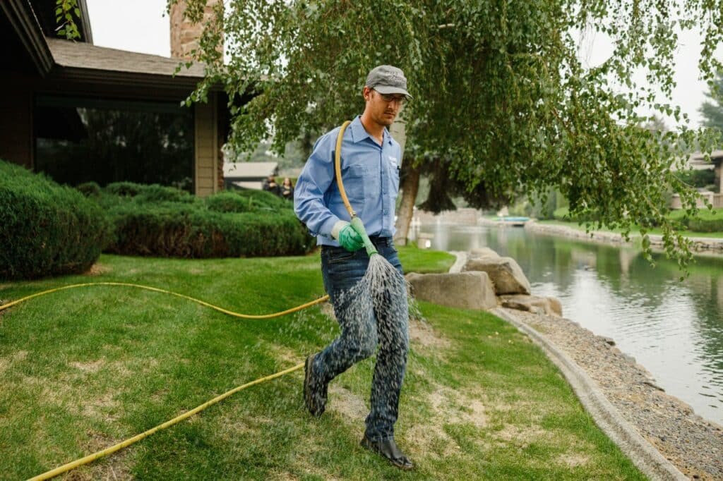 colonial lawn fix damaged lawn