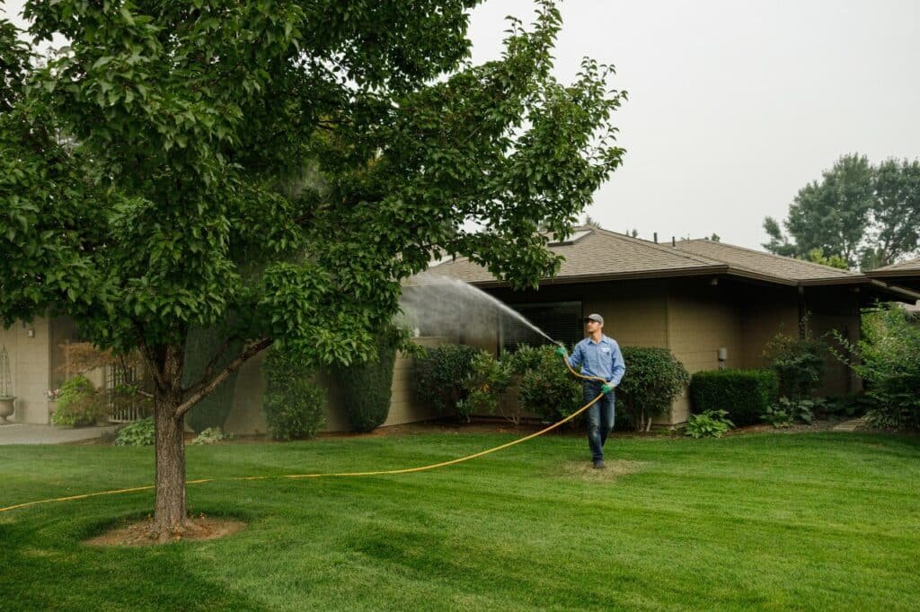 lawn care services from colonial lawn