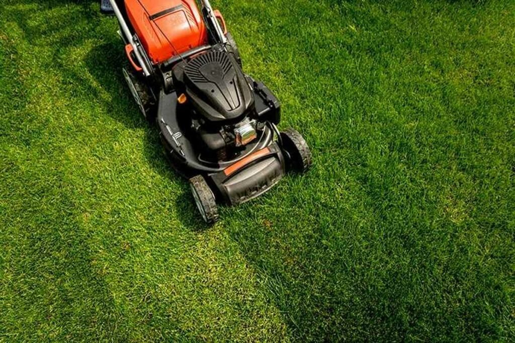 mowing schedules and techniques Colonial Lawn and Garden