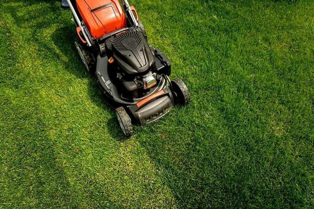 mowing your lawn techniques Colonial Lawn & Garden