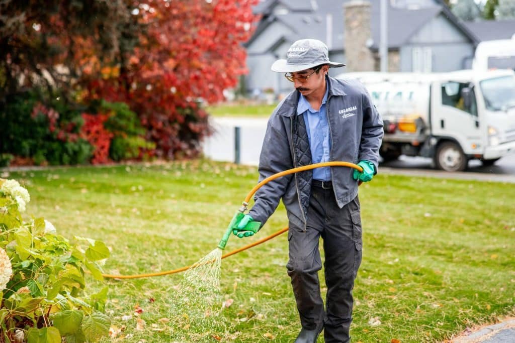 premier lawn care services