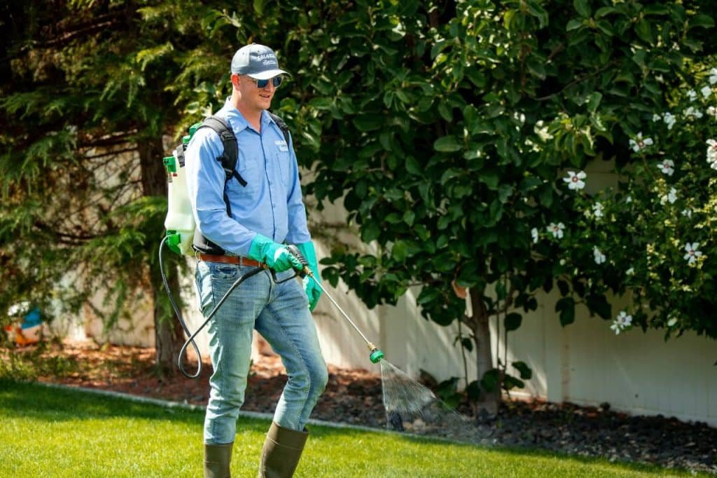 pre-emergent weed control service by Colonial Lawn & Garden