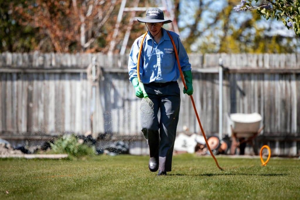 lawn care maintenance