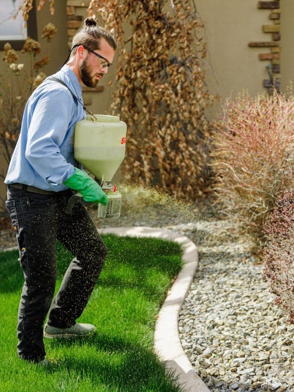 lawn fertilization services