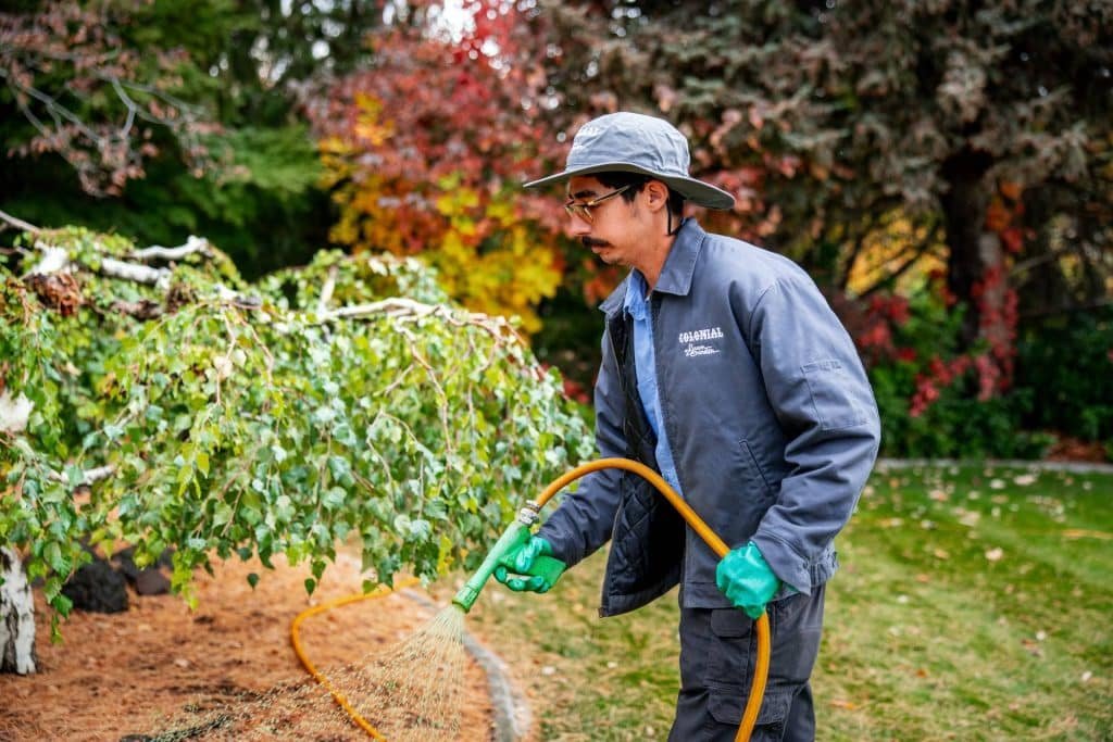 applying pre-emergent weed control in Kennewick