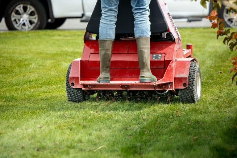 best time to fertilize your lawn in the Tri-Cities