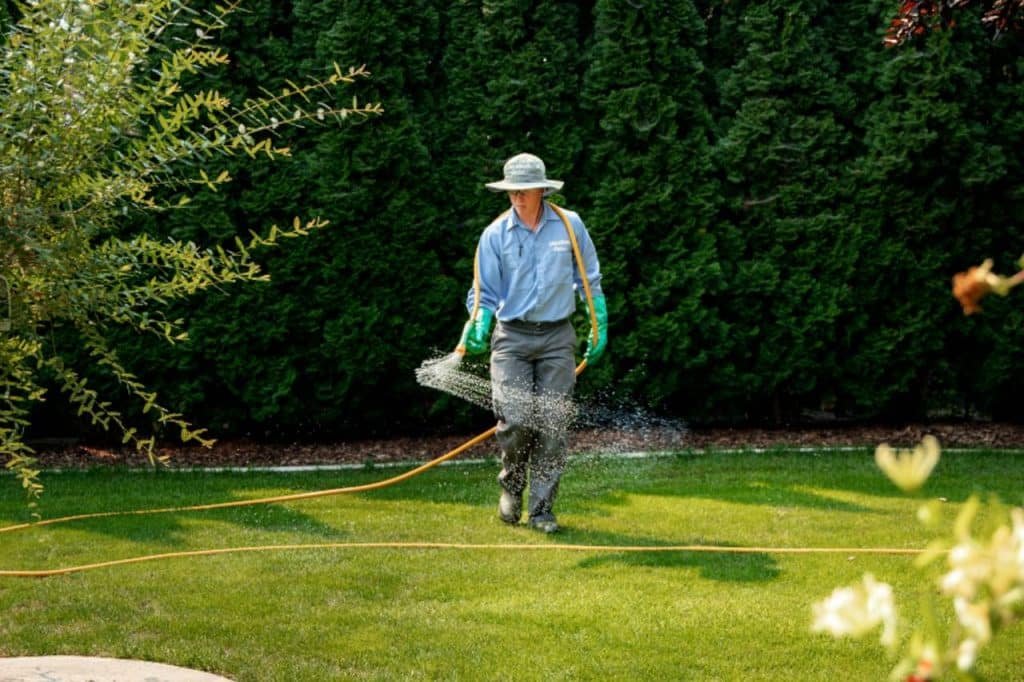 summer lawn care tips in Tri-Cities